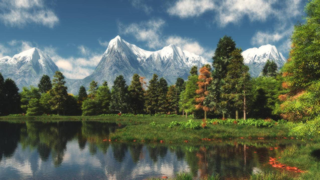 网红商城